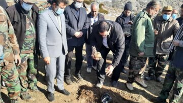 کشت گیاهان دارویی در سه هزار و ۵۰۰ هکتار از مراتع استان سمنان آغاز شد