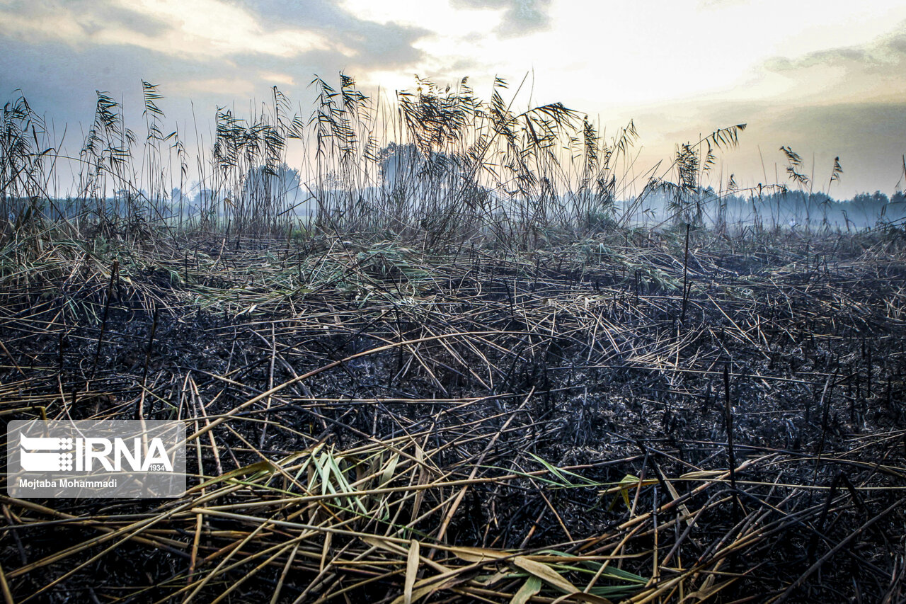 از پیوستن ۱۱۰شناوربه نیروی دریایی سپاه تا بررسی لایحه رتبه بندی معلمان