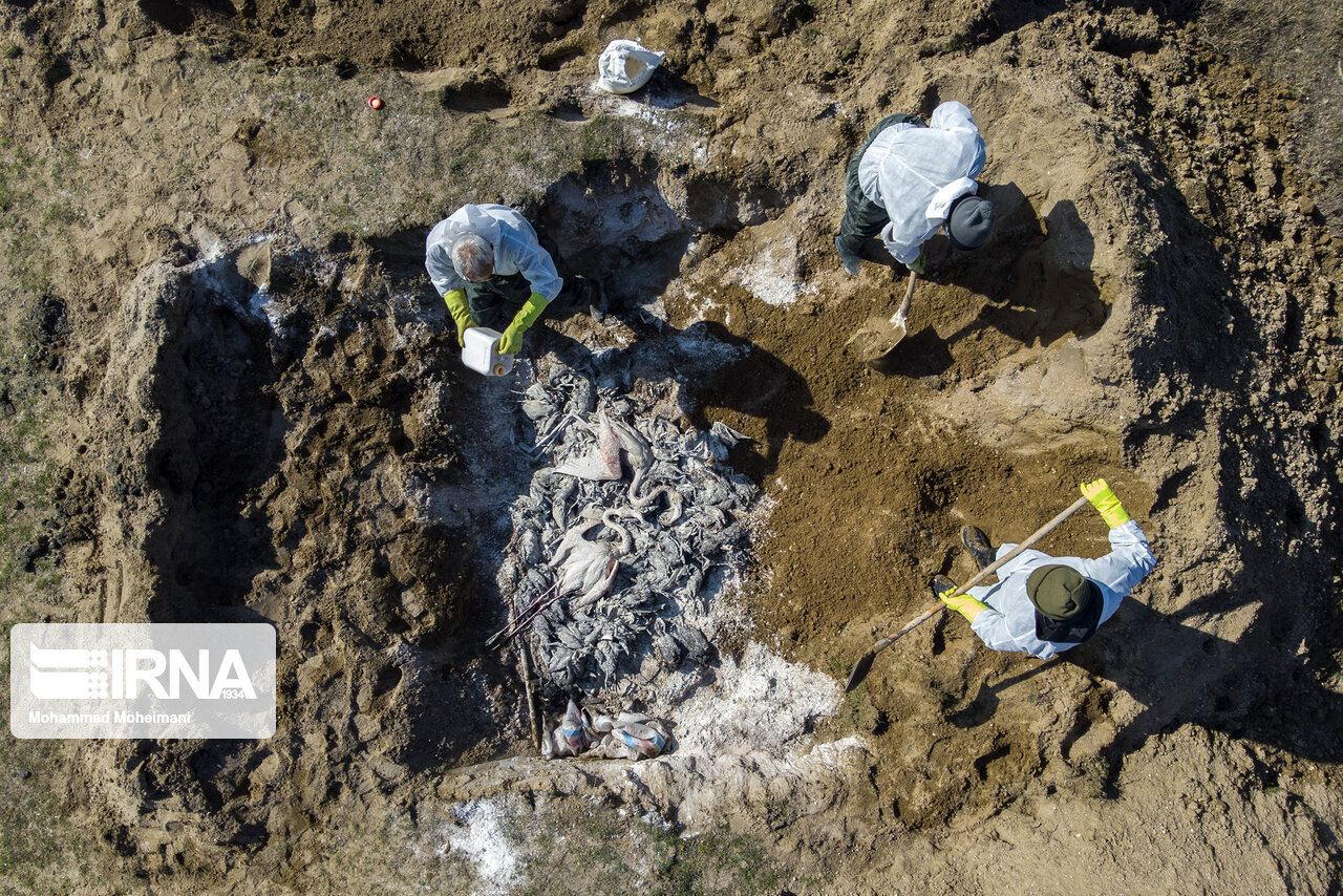 از پیوستن ۱۱۰شناوربه نیروی دریایی سپاه تا بررسی لایحه رتبه بندی معلمان