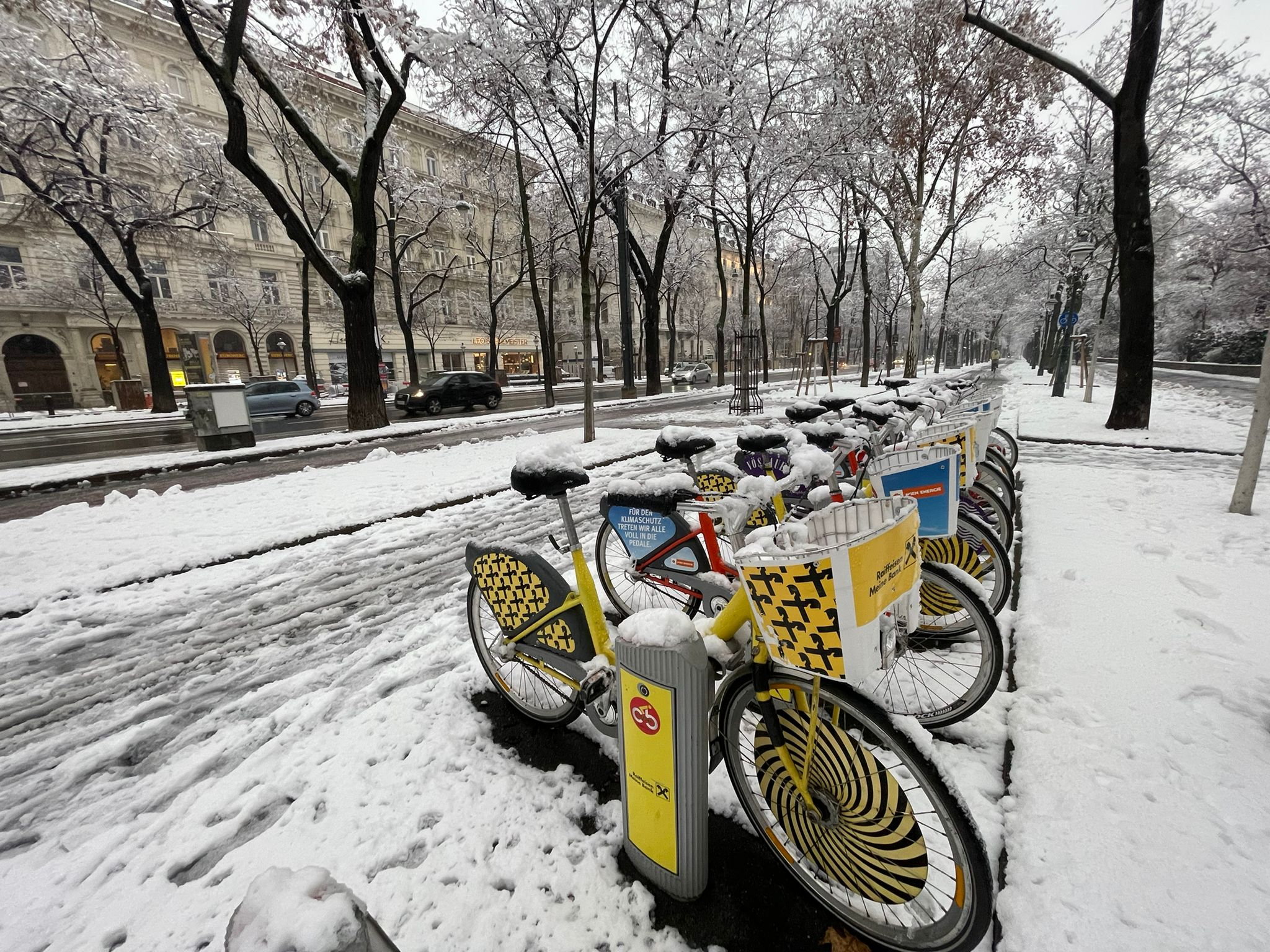 یخبندان وین، شاید آبستن خبرهای داغ