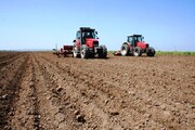 طرح جهش تولید دیم‌زارها در ۲۸۰ هزار هکتار اراضی آذربایجان غربی اجرا می‌شود