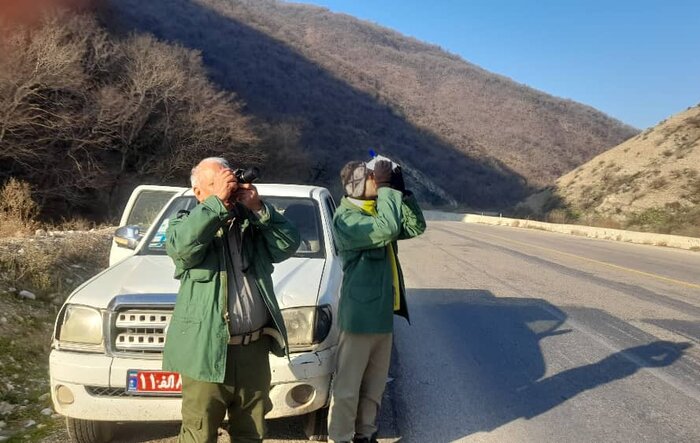 جمعیت گونههای علفخوار پارک ملی گلستان به بیش از ۹ هزار راس رسید
