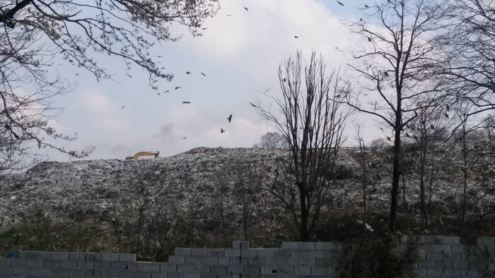 مطالبه دانشجویان بابل برای حل معضل زباله انجلیسی