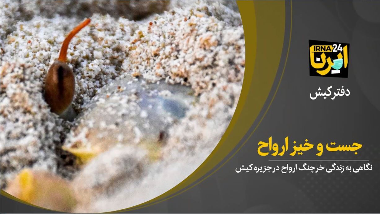 جست و خیز ارواح در سواحل کیش 