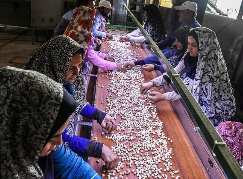 ایجاد یکهزار و ۲۵۰ فرصت شغلی در استان مرکزی هدفگذاری شد ایجاد یکهزار و ۲۵۰ فرصت شغلی در استان مرکزی هدفگذاری شد