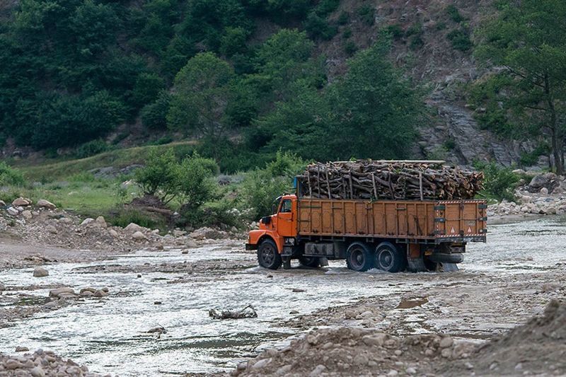 جلوگیری از قطع درختان جنگلی کردستان نیازمند عزم ملی است