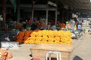 روزانه یکهزار و ۵۰۰ تُن میوه در میدان بار بجنورد توزیع می‌شود