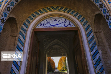 Shahzadeh Mahan Historical Garden, jewelry, shining in desert