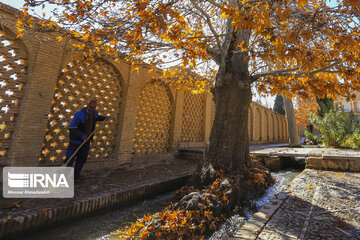 Shahzadeh Mahan Historical Garden, jewelry, shining in desert