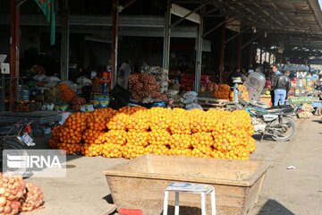 روزانه تا۶۰ تن میوه در میدان بار بجنورد توزیع می شود 