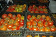تعرفه صادرات گوجه فرنگی به ۶۵۰ ریال کاهش یافت