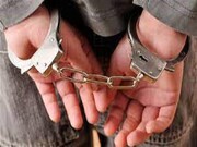 ۷ سارق حرفه ای با ۳۰ فقره سرقت در سلماس دستگیر شدند