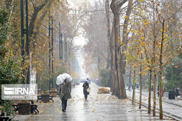 شادی مردم از باران پاییزی صبح جمعه ای در ارومیه