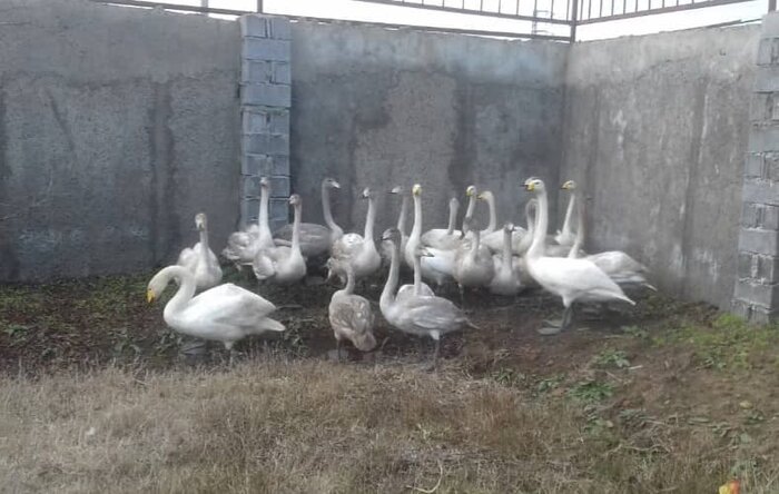 نگاهی به رویدادهای خبری محیط زیست و منابع طبیعی مازندران در سال ۱۴۰۰