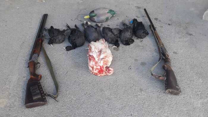 سفر رییس عدلیه و دیگر رخدادهای خبری گلستان در هفته پایانی آذر