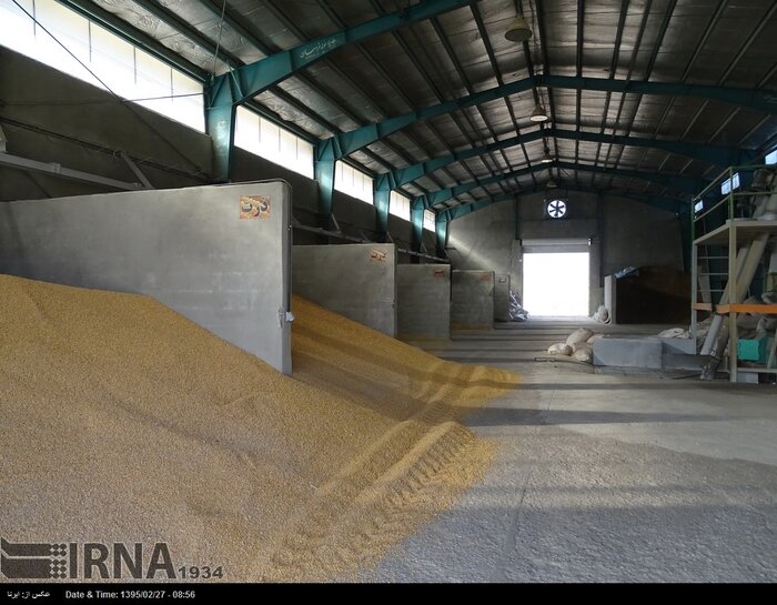 بیش از ۳۰۰ تن خوراک دام و طیور احتکاری در کرمانشاه کشف شد