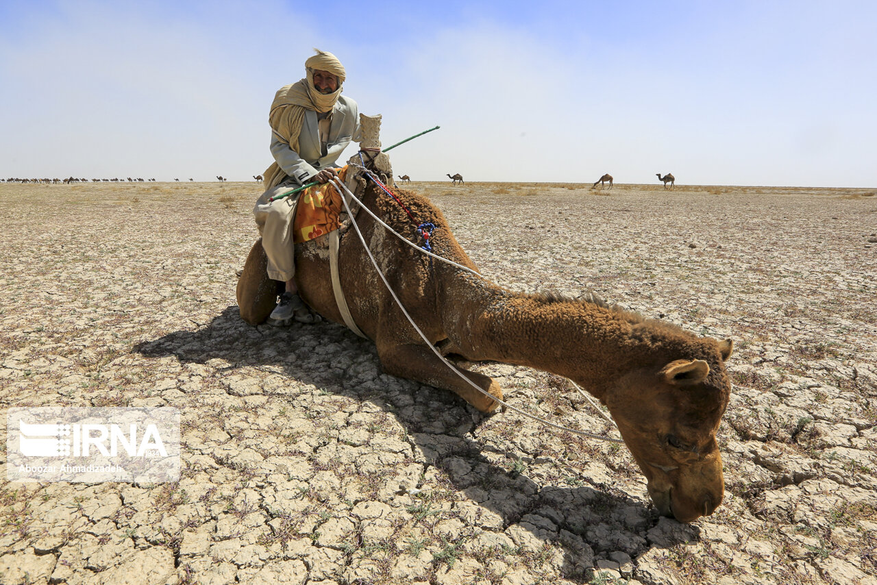 وداعی تلخ با یار دیرین حیاتبخش