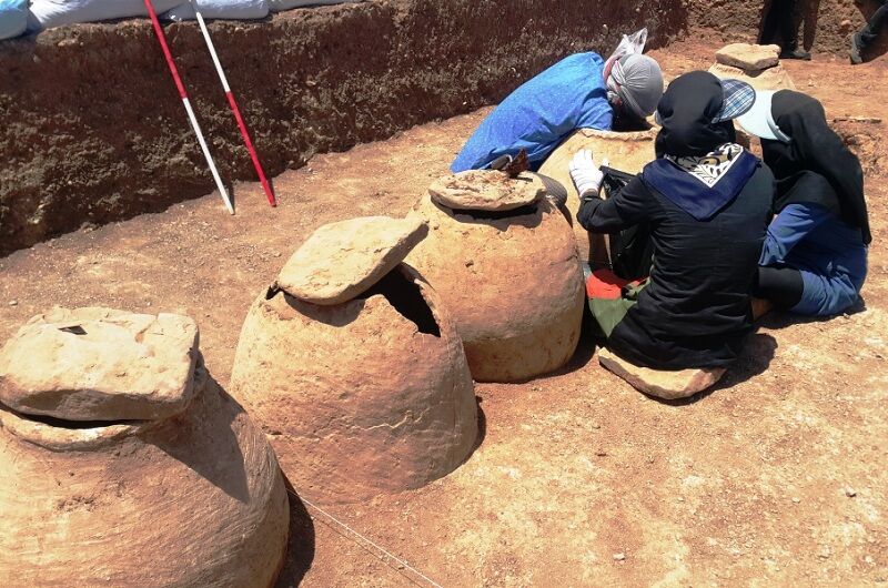 نقش سفرهای علمی دانشجویی در توسعه گردشگری ایران نقش سفرهای علمی دانشجویی در توسعه گردشگری ایران