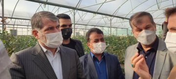 بازدید وزیر جهاد کشاورزی از مهریز