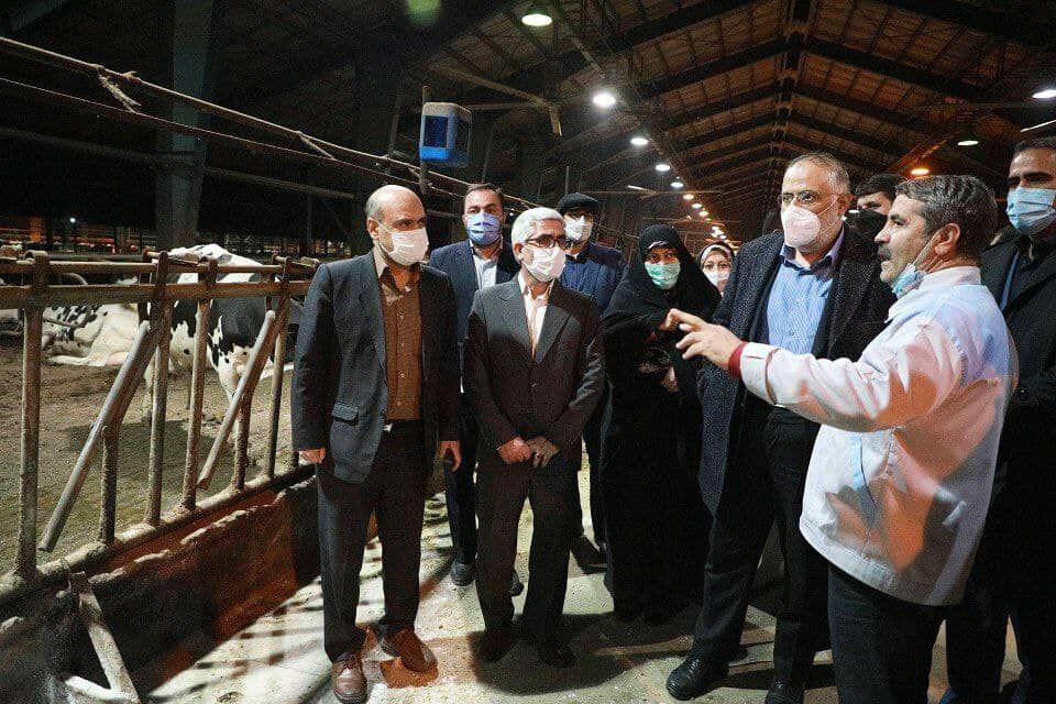 استاندار قزوین از شرکت کشت و صنعت شریف آباد بازدید کرد 