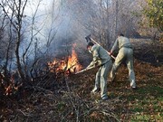 آتش به جان عرصه‌های طبیعی سوادکوه شمالی افتاد