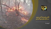فیلم/تلاش نیروهای مردمی و امدادی برای مهار آتش جنگل‌های گلستان