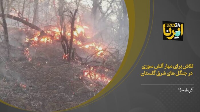 فیلم/تلاش نیروهای مردمی و امدادی برای مهار آتش جنگل‌های گلستان