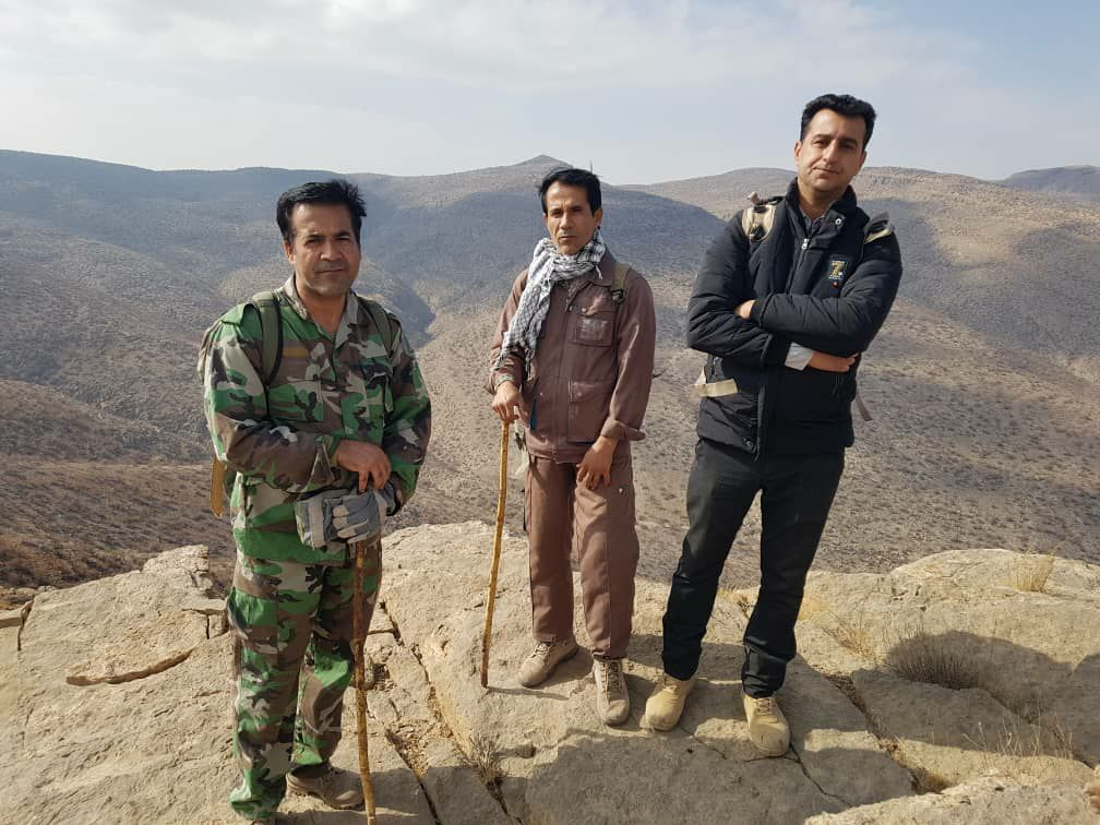 ۱۰ درصد گونه های جنگلی آسیب دیده از آتش سوزی ارسنجان جوانه زد