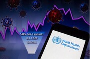 سازمان جهانی بهداشت: شناسایی اومیکرون در ۸۹ کشور جهان