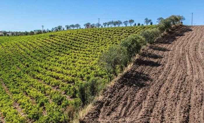 خاک، ثروت بر باد رفته در خراسان شمالی