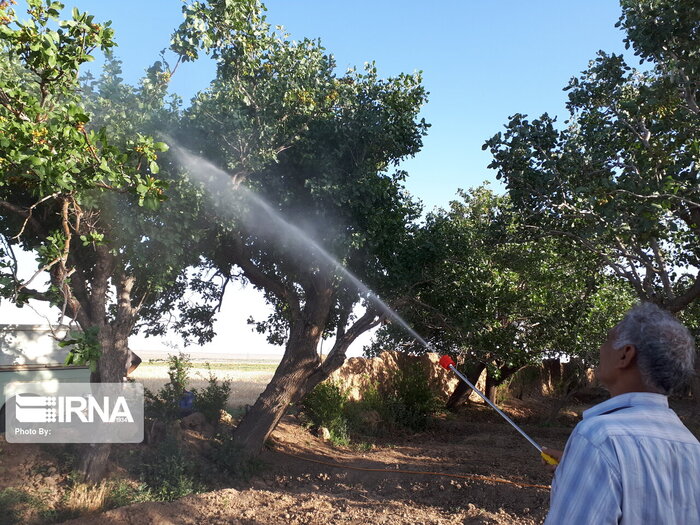 حوزه کشاورزی ٣٣ درصد از مشاغل شمیرانات را در بر گرفته است