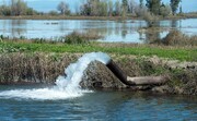 مدیرعامل آب منطقه ای البرز: پایداری منابع آبی در گرو مدیریت بهینه مصرف است