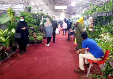نمایشگاه تخصصی گل و گیاه و یلدای ایرانی در بوشهر
