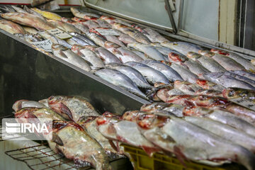 Qazvin Bazaar on eve of Yalda Night