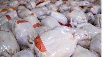 قیمت گوشت مرغ با افزایش تولید در سمنان کمتر از نرخ مصوب عرضه می‌شود