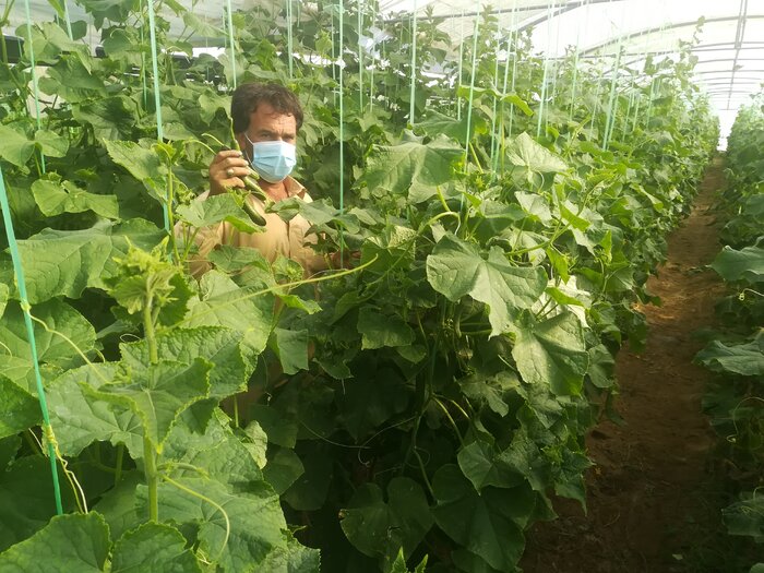 محصول مرجوعی و تلنگری که باید میخوردیم