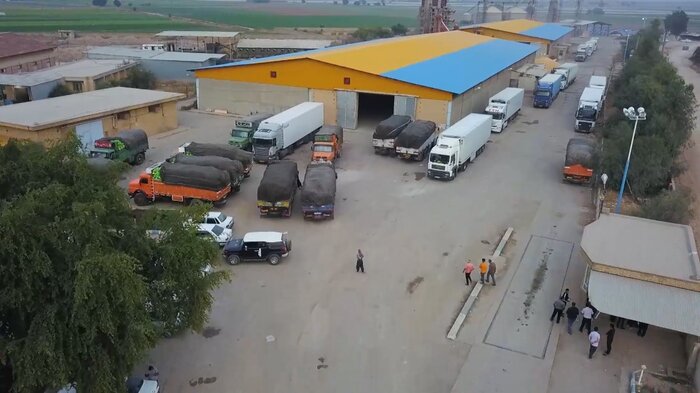 صادرات بذر شرکت توسعه ذرت خوزستان، ۲۸۰ هزار دلار ارزآوری داشت