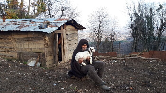 سقط جنین دامها عشایر رضوانشهر را پریشان کرده است