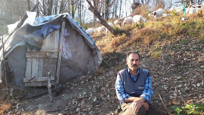 سقط جنین دامها عشایر رضوانشهر را پریشان کرده است