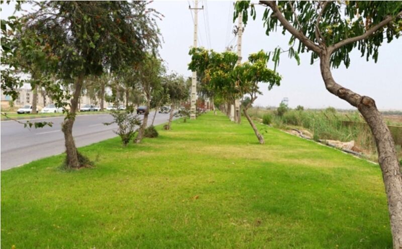 سرانه فضای سبز شهر بوستان کمتر از یک متر مربع است