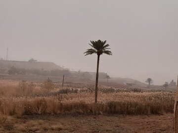 گرد و غبار دید افقی را در قصرشیرین به هزار متر کاهش داد