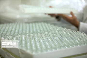 Production of Iran-Cuba COVID-19 PastoCovac vaccine in Tehran