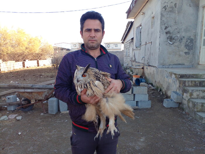 تحویل شاهبوف مصدوم به محیط زیست بندرترکمن