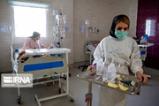 ۶۲ بیمار کرونایی در مراکز درمانی ایلام بستری هستند 