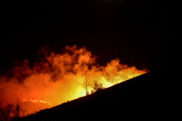 آتش سوزی در جنگل های سیاهکل