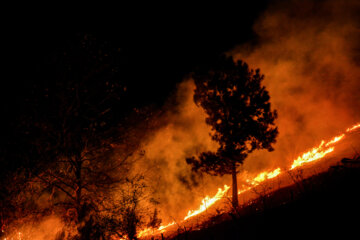 آتش سوزی در جنگل های سیاهکل