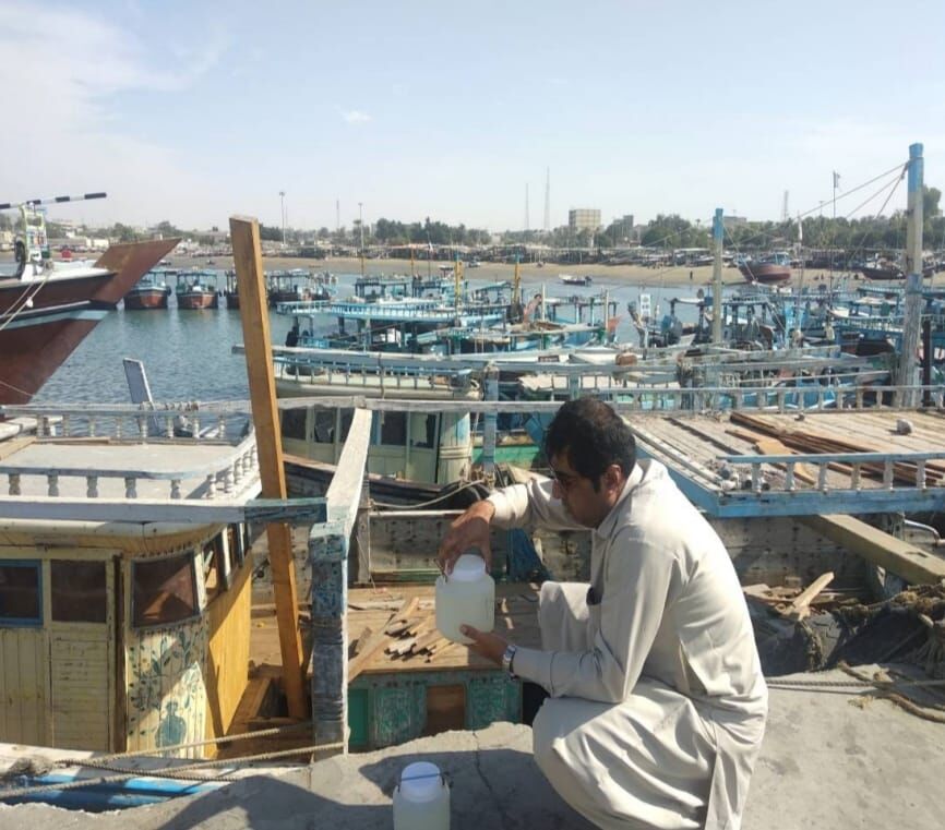 پدیده شکوفایی پلانکتونی به رنگ سبز در خلیج چابهار مشاهده شد 2