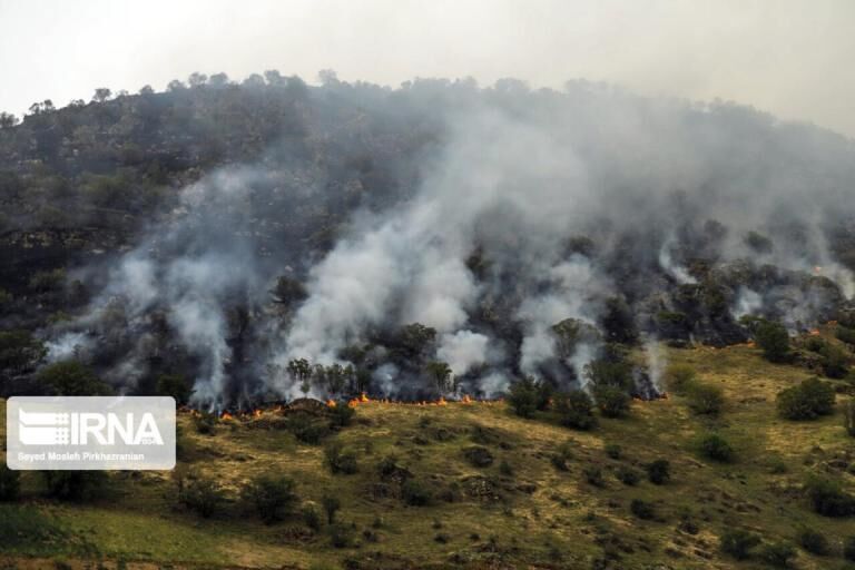 آتش ۱۳۰ هکتار از جنگل‌های گیلان را درنوردید