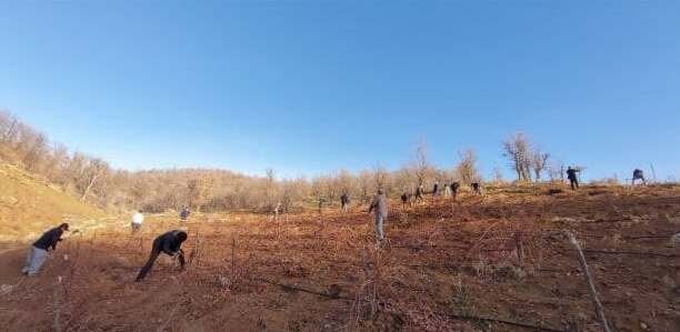 ۲۷ هزار متر مربع اراضی ملی در مریوان رفع تصرف شد