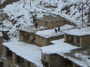 اولین بارش برف زمستانی در سروآباد